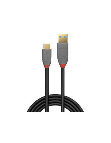 CABLE USB2 C-A 2M/ANTHRA 36887 LINDY