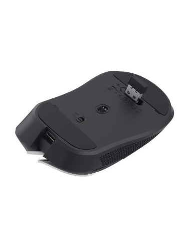 MOUSE USB OPTICAL WRL YBAR/GTX923W 24889 TRUST