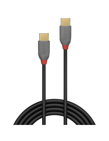 CABLE USB2 TYPE C 1M/ANTHRA 36871 LINDY